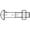 Śruba noskowa z łbem kulistym NAKRĘTKA TOOLCRAFT DIN607 M16 50 SZTUK Śruba noskowa z łbem kulistym NAKRĘTKA TOOLCRAFT DIN607 M16 50 SZTUK