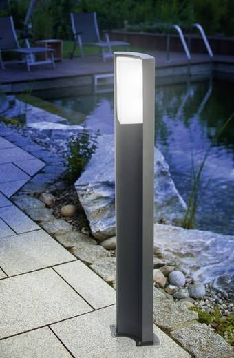 Lampa stojąca ESOTEC Tirano 100 LED 400lm 6000K Lampa stojąca ESOTEC Tirano 100 LED 400lm 6000K