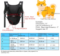 TRANSPORTER PLECAK TORBA DLA PSA KOTA 42 x 24cm S TRANSPORTER PLECAK TORBA DLA PSA KOTA 42 x 24cm S