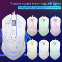 Klawiatura do Rainbow Backlight Anivia ASDIOFJ5 Klawiatura do Rainbow Backlight Anivia ASDIOFJ5