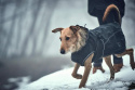 HUNTER Uppsala płaszcz dla psa 40 odblask kurtka ubranie