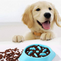 miska dla psa kota zapobiegająca szybkiemu jedzeniu wolny posiłek
