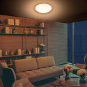 Lampa sufitowa LED plafon Eterski 24W 35cm regulacja jasności aplikacja Lampa sufitowa LED plafon Eterski 24W 35cm regulacja jasności aplikacja