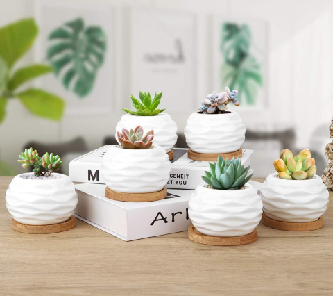 DONICZKI NA SUKULENTY KAKTUSY ZESTAW 6 SZT CERAMICZNE DONICZKA DONICZKI NA SUKULENTY KAKTUSY ZESTAW 6 SZT CERAMICZNE DONICZKA