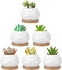 DONICZKI NA SUKULENTY KAKTUSY ZESTAW 6 SZT CERAMICZNE DONICZKA DONICZKI NA SUKULENTY KAKTUSY ZESTAW 6 SZT CERAMICZNE DONICZKA