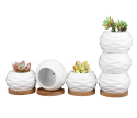 DONICZKI NA SUKULENTY KAKTUSY ZESTAW 6 SZT CERAMICZNE DONICZKA DONICZKI NA SUKULENTY KAKTUSY ZESTAW 6 SZT CERAMICZNE DONICZKA