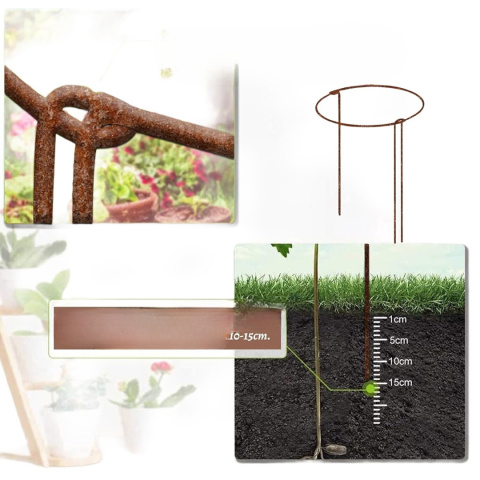 8szt podpora 50 cm obejma metal do roślin hortensji kwiatów obramówka wspornik krawędź ogrodowa 8szt podpora 50 cm obejma metal do roślin hortensji kwiatów obramówka wspornik krawędź ogrodowa