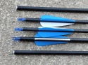 BEŁT STRZAŁA DO ŁUKU REAWOW łucznictwa 80 cm