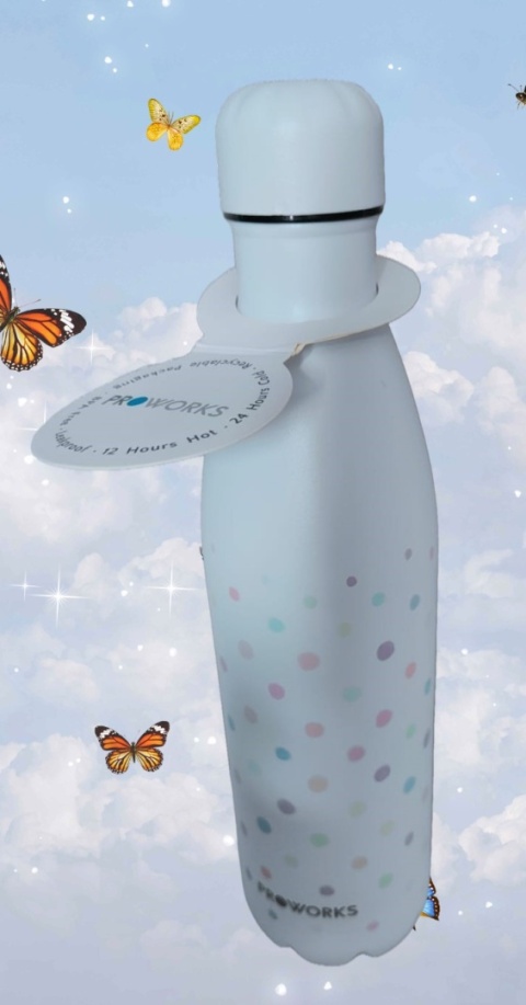 termos bidon Butelka do picia na wodę PROWORKS izolowana