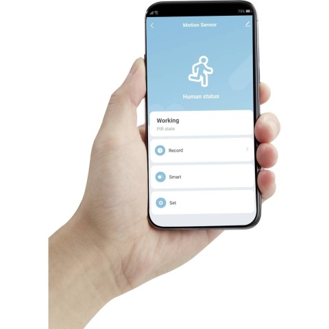 Sygonix SY-5046552 Czujnik ruchu PIR CZUJKA NATYNKOWA Wi-Fi IP65 detekcja 120°