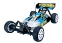 Model Truggy RC Team C 1:10 Minion 4WD TR04 2,4GHz ABSIMA RTR